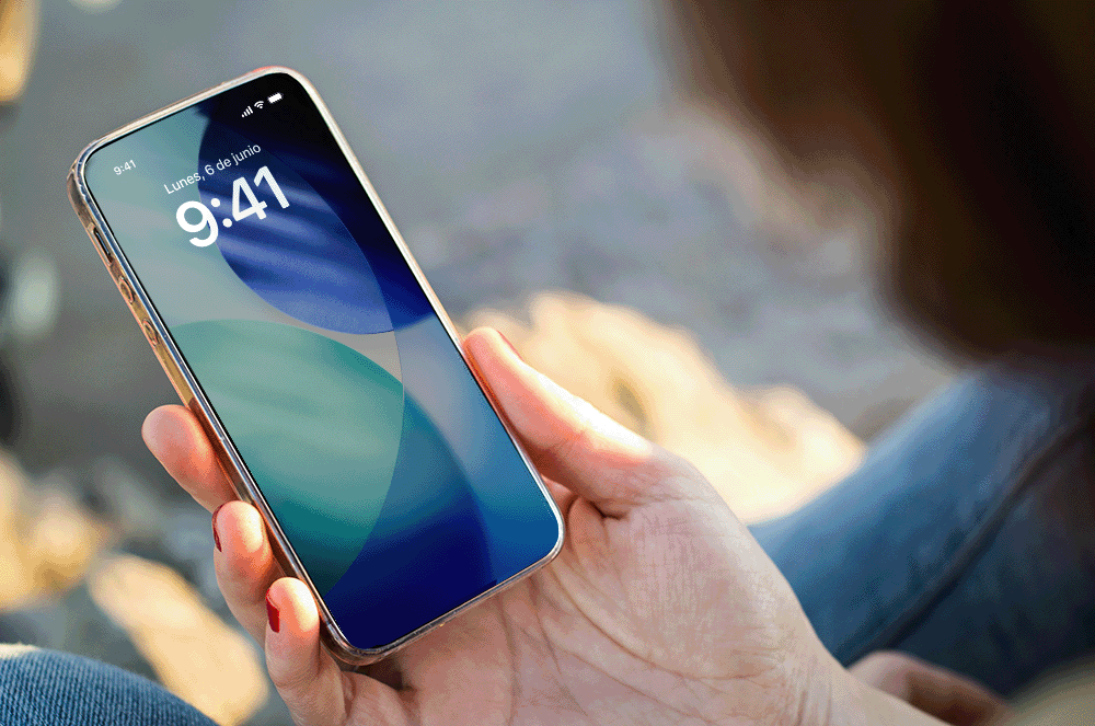 Blog_Precision security_Notifications copia