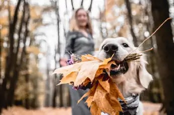 Control estés donde estés