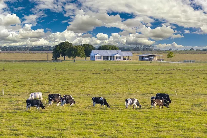 irish farm in the countryside