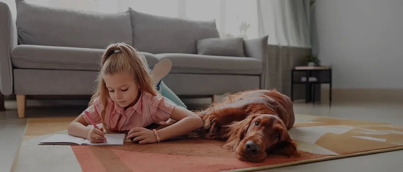 Alarmas compatibles con mascotas