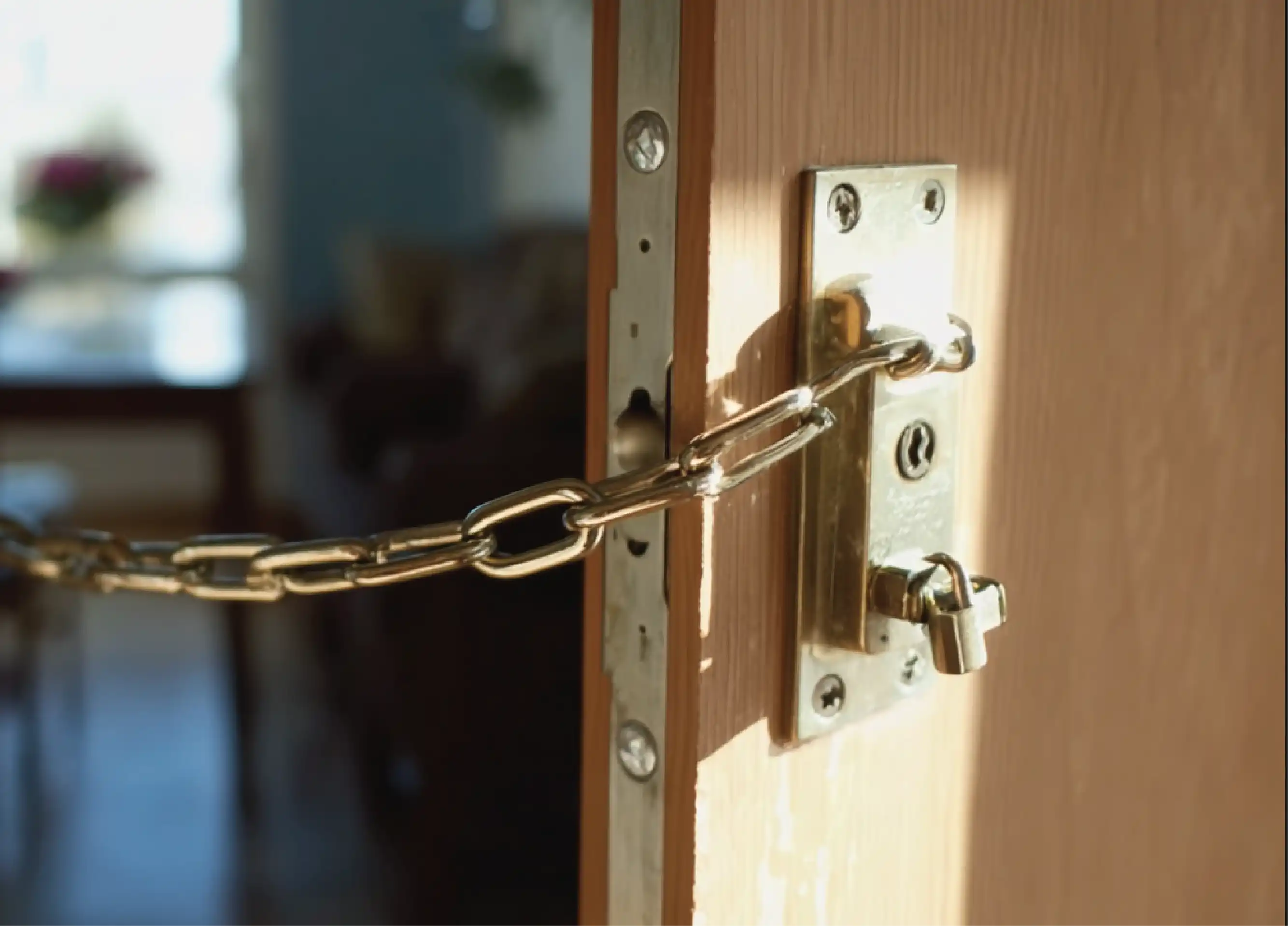 Diferencias entre sistemas de alarma caseros y profesionales