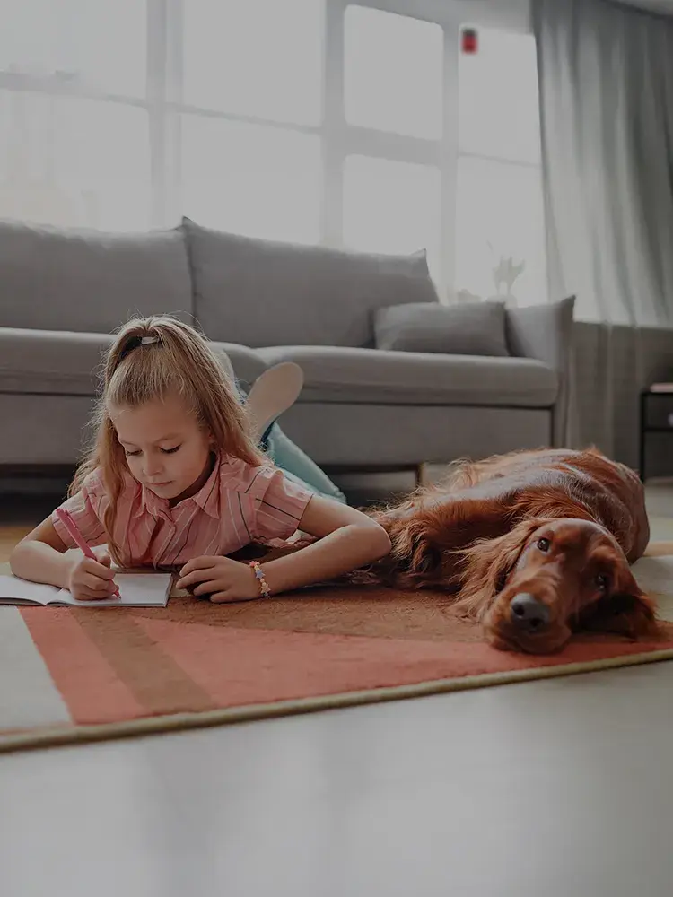 Alarmas compatibles con mascotas