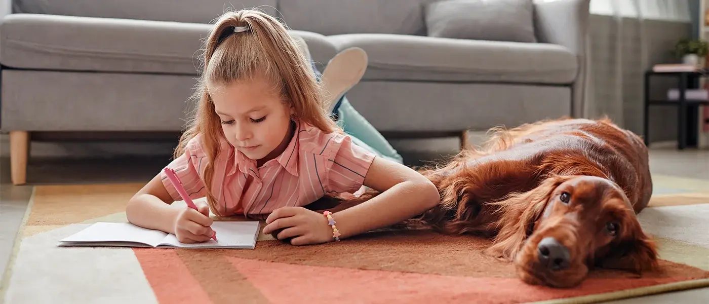Alarmas compatibles con mascotas