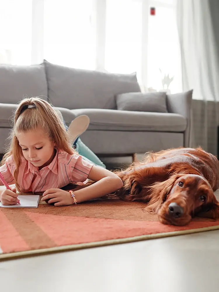 Alarmas compatibles con mascotas