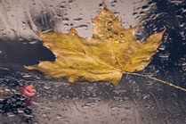 Otoño 2020 y segundas residencias, prevención extra